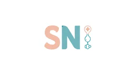 Synapse Numérique